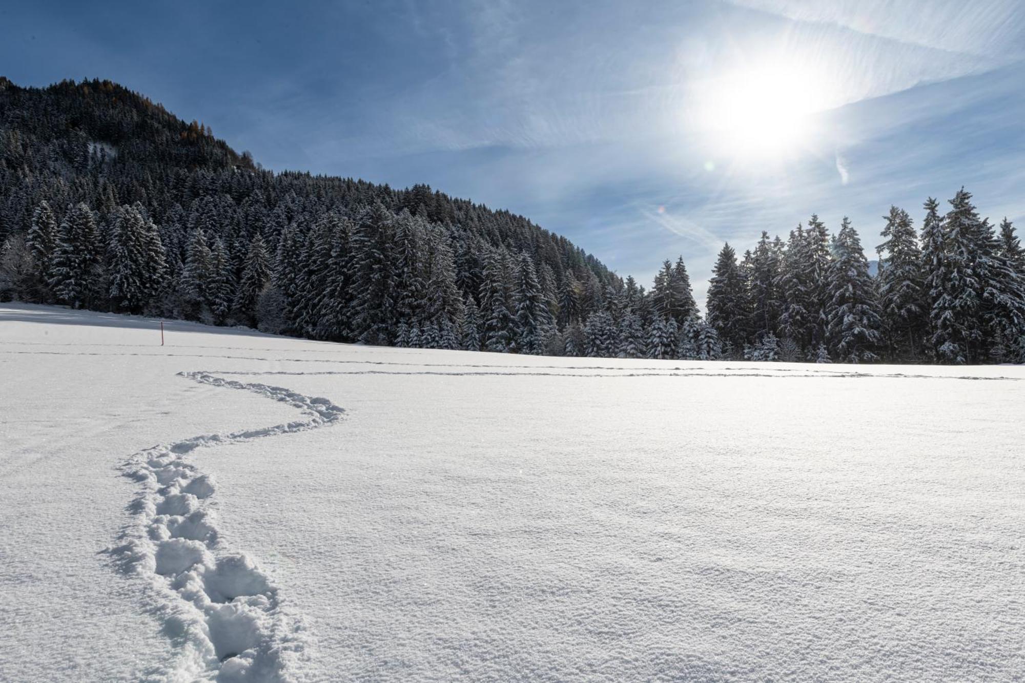 Auszeit Apartments Oberau Kültér fotó